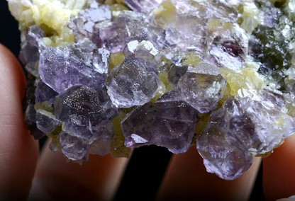 62.g Natural Octahedron Purple FLUORITE Pyrite Mineral Specimen/Inner Mongolia