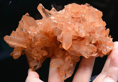 556g Natural Rare Transparent Red Skin QUARTZ Crystal Cluster Mineral Specimens