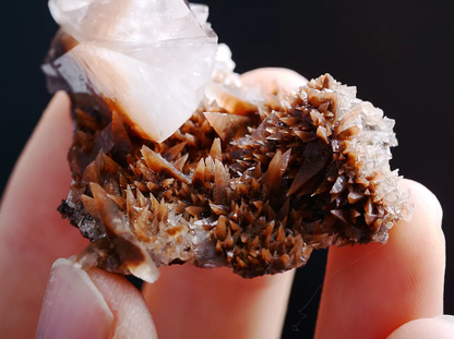 26g Newly Natural Swallow-Tail Twin Crystal Calcite Mineral Specimen/China