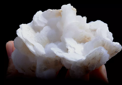 55.g New Find Natural Rare White Ladder-Like Calcite & Crystal Mineral Specimen