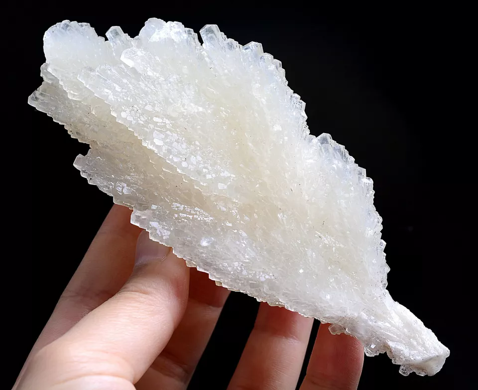 241.g  Natural Fluorescent “Angel Wings” White Calcite Crystal Mineral Specimen