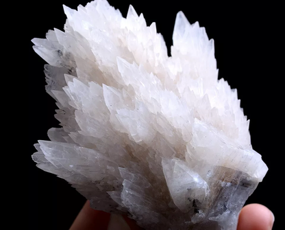 209g Natural  “Angel Wings” White Calcite Crystal Mineral Specimen/China