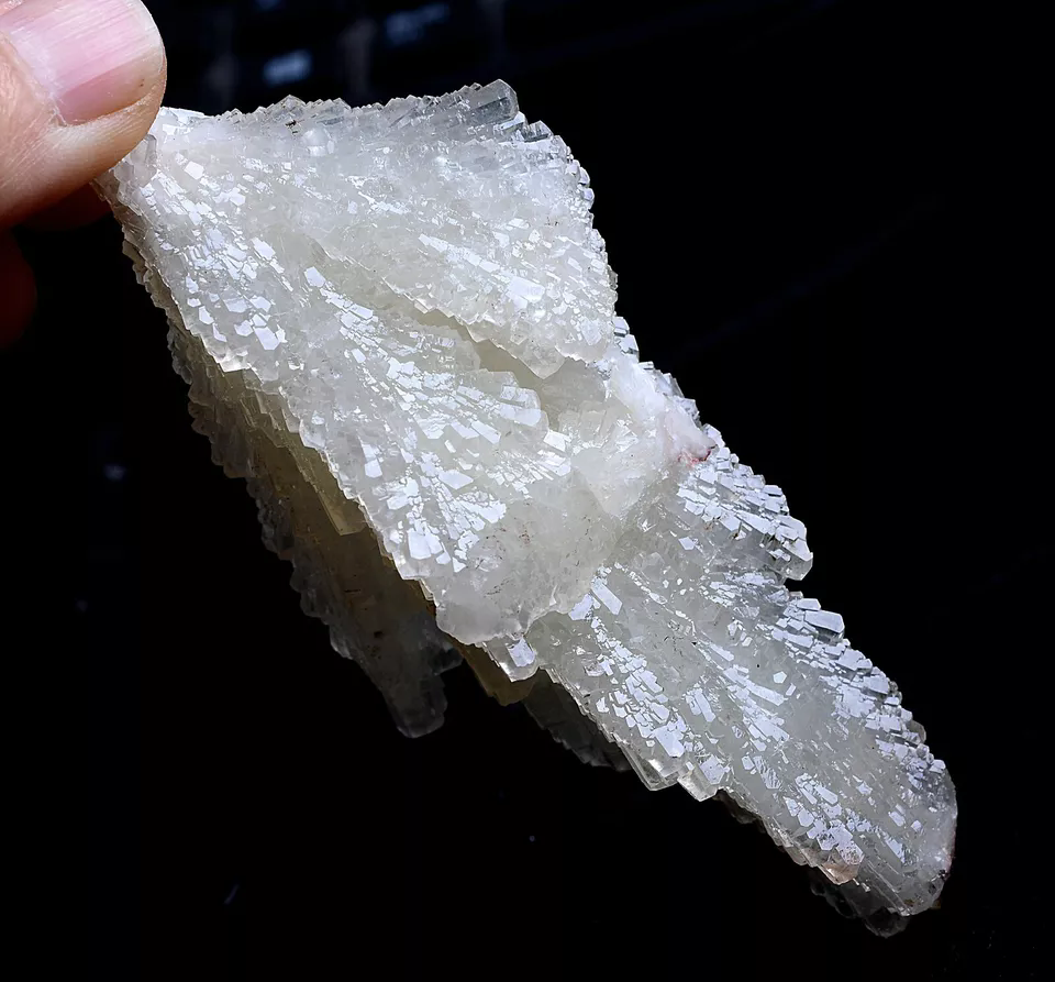 108g Natural Complete “Angel Wings” White Calcite Mineral Specimen/China