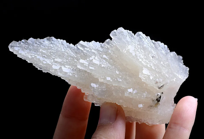 110gNatural Complete “Angel Wings” White Calcite Crystal Mineral Specimen/China