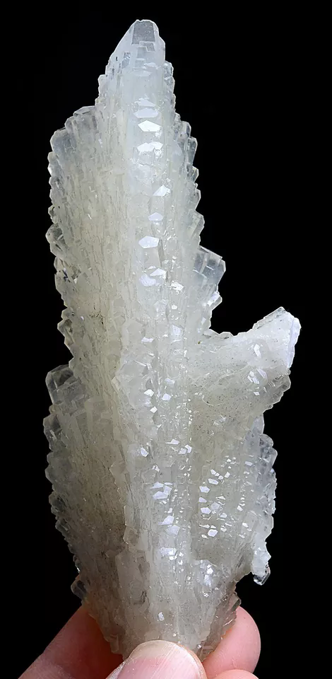 104.6g Natural Complete White Calcite “Angel Wings” Crystal Mineral  Specimen