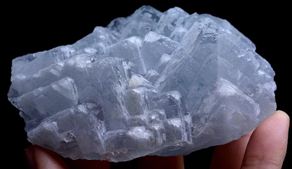 Natural Transparent Fluorite CRYSTAL CLUSTER Mineral Specimen 267.6g