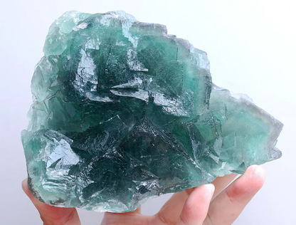 1256g Natural Phantom Window Green Cubic Fluorite CLUSTER Mineral  Specimen