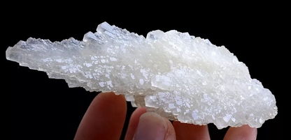 110gNatural Complete “Angel Wings” White Calcite Crystal Mineral Specimen/China