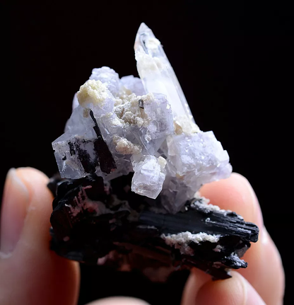 37g Natural Wolframite & Fluorite CRYSTAL Mineral Specimen / Yaogangxian China