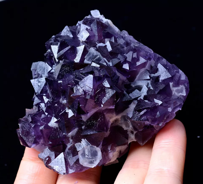 211.68g MUSEUM COLLECTION NEWLY DISCOVERED RARE PURPLE FLUORITE MINERAL SAMPLES