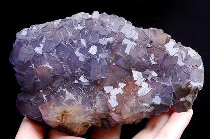 723.5g Natural Phantom Window Purple Fluorite CRYSTAL CLUSTER Mineral Specimen