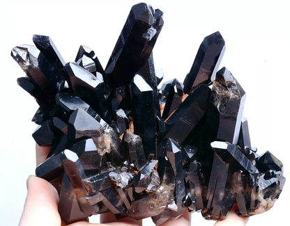 554g Natural Rare Smoky & Black QUARTZ Crystal Cluster Mineral Specimen