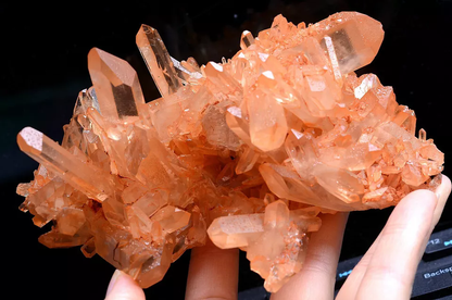 556g Natural Rare Transparent Red Skin QUARTZ Crystal Cluster Mineral Specimens