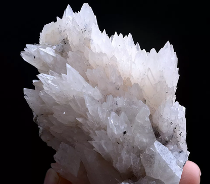 209g Natural  “Angel Wings” White Calcite Crystal Mineral Specimen/China