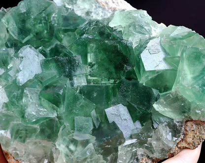 878.5g NATURAL Beauty Green Cubic FLUORITE Crystal Mineral Specimen/China