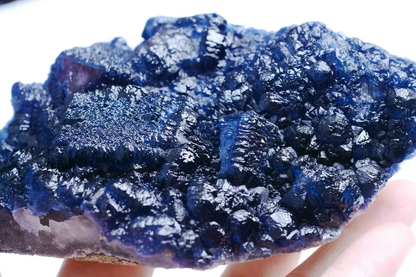 444gNew Find Blue Cube Fluorite CRYSTAL CLUSTER Mineral Specimen/Inner  Mongolia