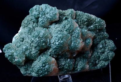 1821g Newly Discovered Green Apophyllite CRYSTAL CLUSTER Mineral Specimen