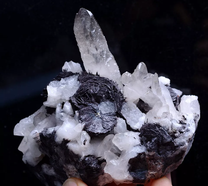 483.0g Natural White Crystal Cluster & Flower Shape Specularite Mineral Specimen