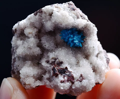 19g Natural CAVANSITE & ZEOLITE Crystal Symbiotic Mineral Specimen/  India