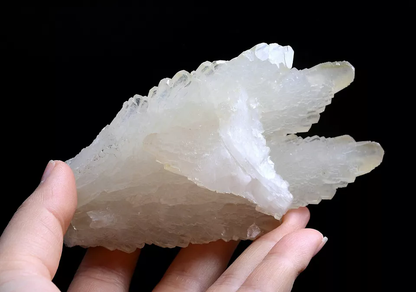 253g Natural Complete “Angel Wings” White Calcite Mineral Specimen/ China