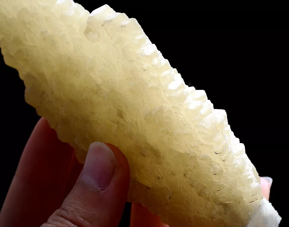 247g Natural Complete “Angel Wings” Yellow Calcite Mineral Specimen/ China