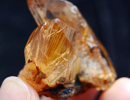 24gNatural Transparent Gold Rutilated Skeletal Quartz Crystal Mineral Specimens