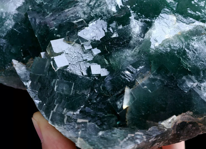 899.0g NATURAL Clear Green Cubic FLUORITE Crystal Cluster Mineral Specimen China