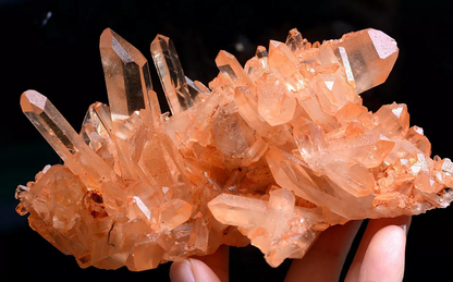 556g Natural Rare Transparent Red Skin QUARTZ Crystal Cluster Mineral Specimens