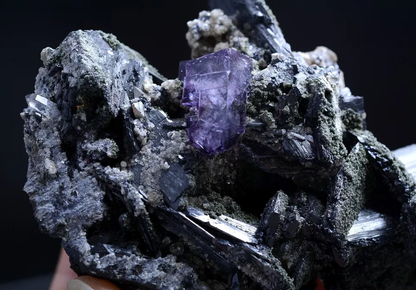 631.1g Natural Purple Fluorite & Wolframite Mineral Specimen/Yaogangxian  China