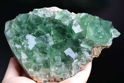 878.5g NATURAL Beauty Green Cubic FLUORITE Crystal Mineral Specimen/China