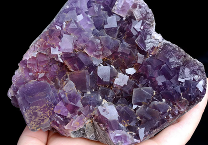 788g Natural Phantom Window Purple Fluorite CRYSTAL CLUSTER Mineral Specimen