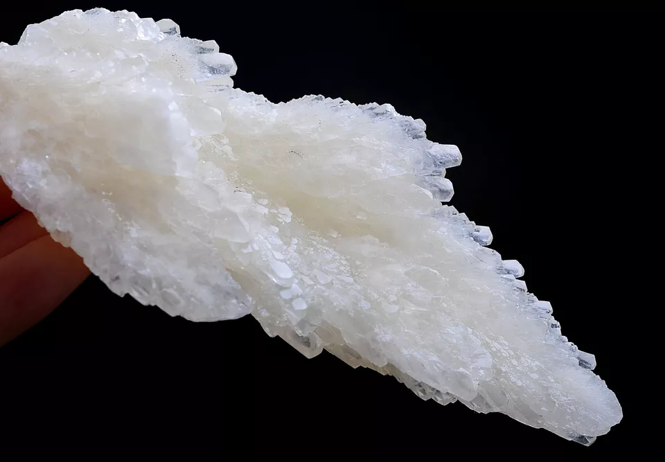 284g Natural Complete “Angel Wings” White Calcite Mineral Specimen/China