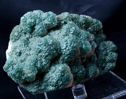 1821g Newly Discovered Green Apophyllite CRYSTAL CLUSTER Mineral Specimen