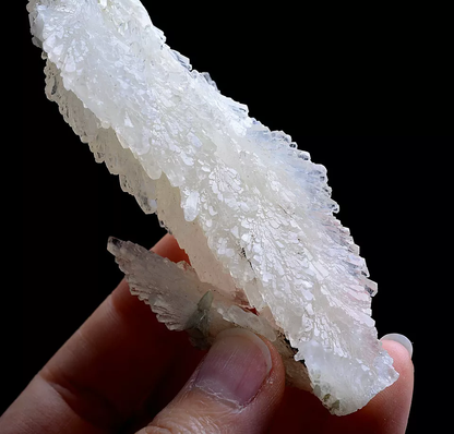 88g Natural Beautiful “Angel Wings” White Calcite Mineral Specimen/China