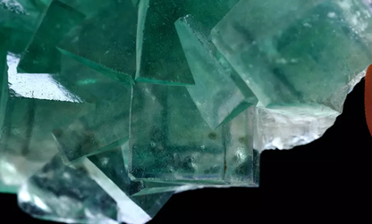 86g Natural Clear Phantom Window Green Fluorite CLUSTER Mineral Specimen/ China