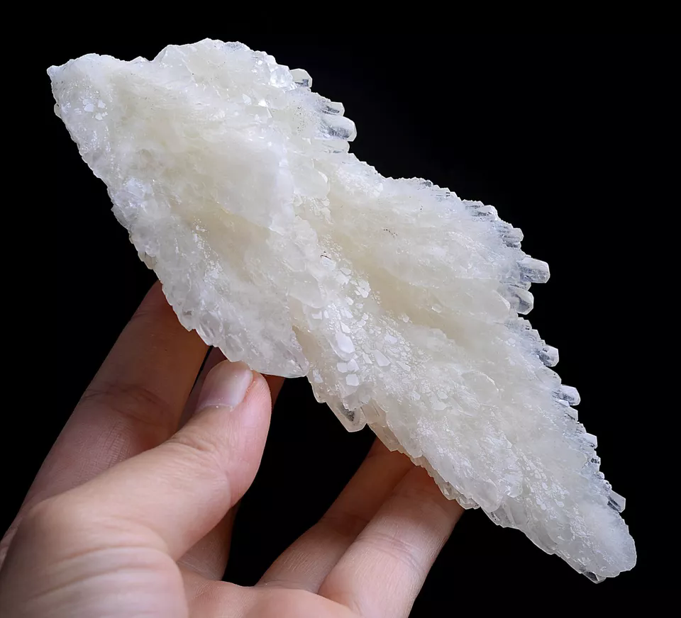 284g Natural Complete “Angel Wings” White Calcite Mineral Specimen/China