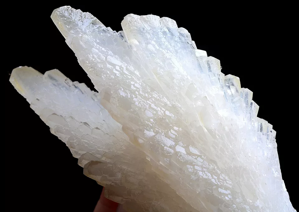 253g Natural Complete “Angel Wings” White Calcite Mineral Specimen/ China