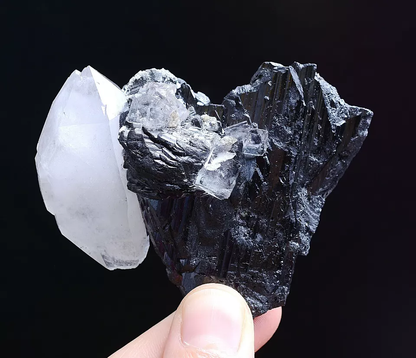 137g Natura Fluorite & Wolframite & Crystal Mineral Specimen/Yaogangxian China