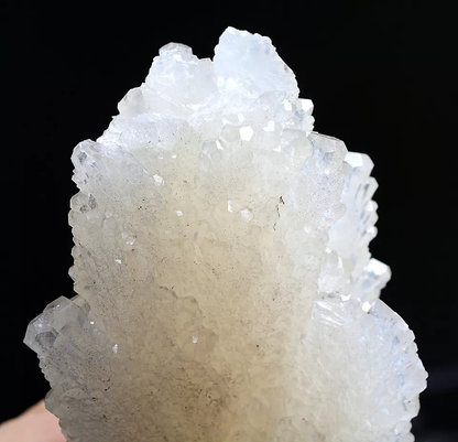 241.g  Natural Fluorescent “Angel Wings” White Calcite Crystal Mineral Specimen