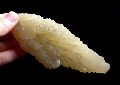 247g Natural Complete “Angel Wings” Yellow Calcite Mineral Specimen/ China