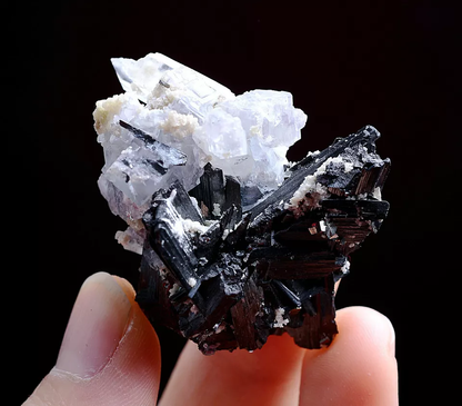 37g Natural Wolframite & Fluorite CRYSTAL Mineral Specimen / Yaogangxian China