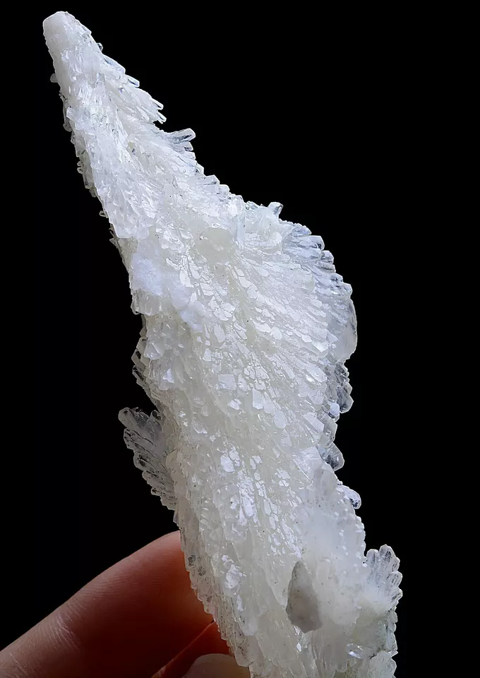 88g Natural Beautiful “Angel Wings” White Calcite Mineral Specimen/China