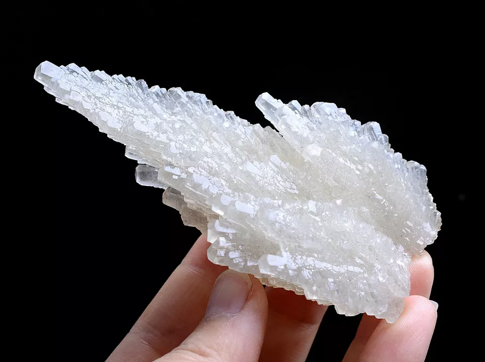 110gNatural Complete “Angel Wings” White Calcite Crystal Mineral Specimen/China