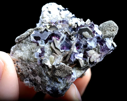 58.g Natural Phantom Purple FLUORITE Pyrite Mineral Specimen/Inner Mongolia