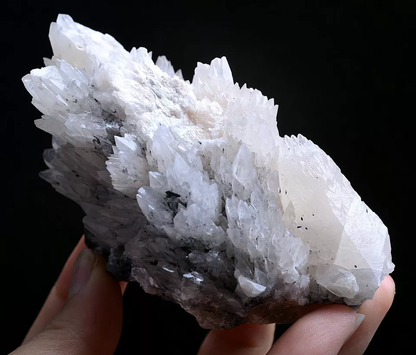 257g Natural Complete “Angel Wings” White Calcite Mineral Specimen/China