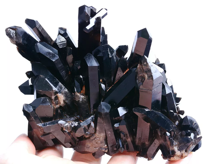 554g Natural Rare Smoky & Black QUARTZ Crystal Cluster Mineral Specimen