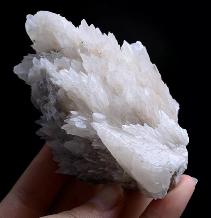 257g Natural Complete “Angel Wings” White Calcite Mineral Specimen/China