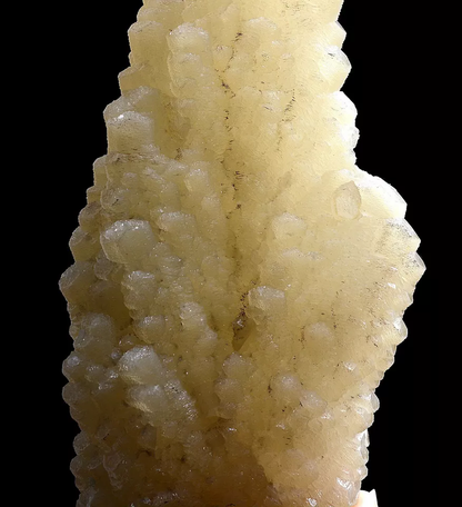 247g Natural Complete “Angel Wings” Yellow Calcite Mineral Specimen/ China