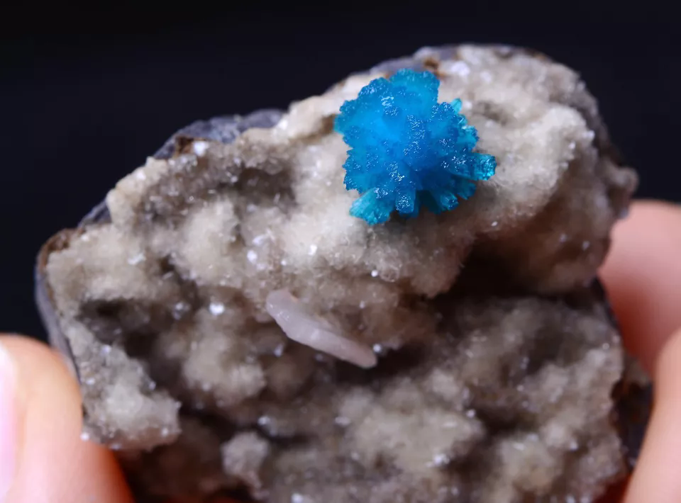 91.8CT Natural CAVANSITE & ZEOLITE Crystal Symbiotic Mineral Specimen/ India