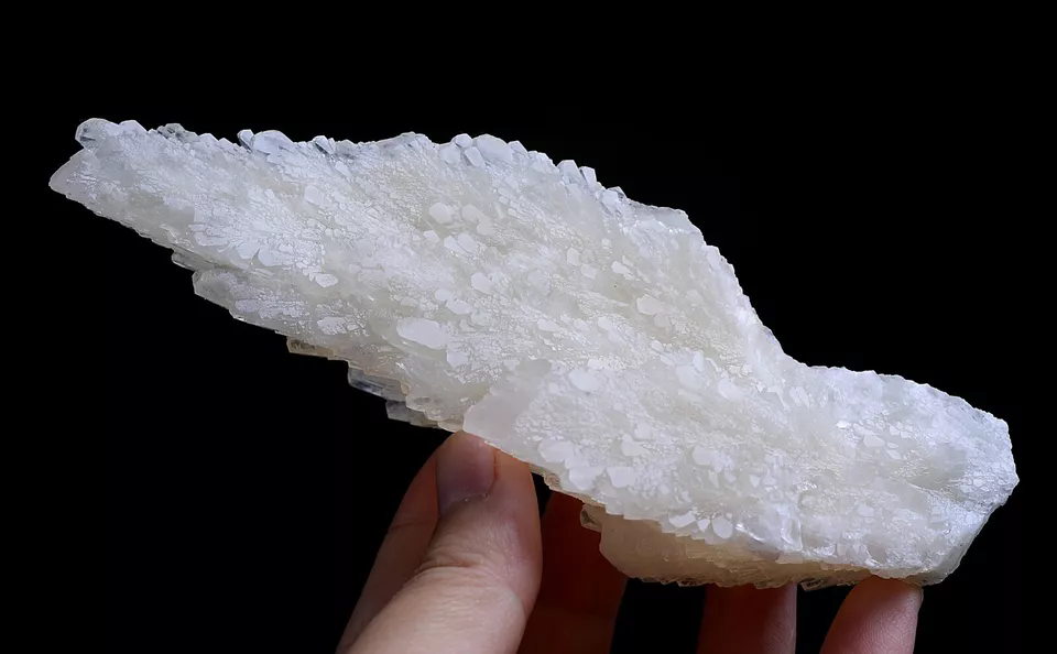 284g Natural Complete “Angel Wings” White Calcite Mineral Specimen/China